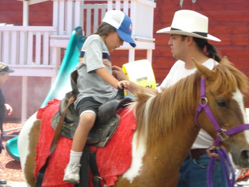 Horse Riding Horse Riding